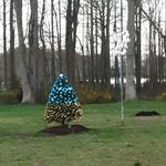 Sue Culbert Smyth Reid - @sueculbertsmythreid - Instagram