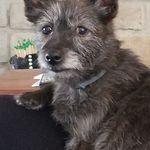 Suzanne Culbertson - @culbertson_sue - Instagram