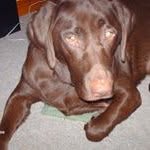 Sue Cushman - @suecushman01 - Instagram