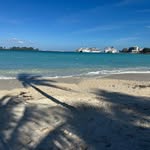 Sue Dakin - @sussued55 - Instagram