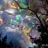Sue Dakin - @sue.dakin - TikTok
