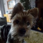 Sue Dakin - @sue.dakin.3 - Instagram