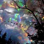 Sue Dakin - @suedakin - Instagram