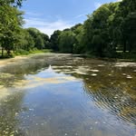 Sue Dakin - @suesued55 - Instagram