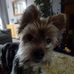 Sue Dakin - Facebook