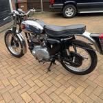 Sue Daniels - @suedaniels270 - Instagram