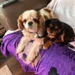 Sue Daniels - @skittlesandsnickersdaniels - Instagram