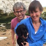 Sue David - @suejdavid - Instagram