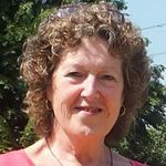 SUE DAVID - @suedavid3 - Instagram