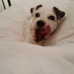 Sue Delaney - @soobiedelaney - Instagram