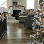 Sue DeRose - @suederose55 - Instagram