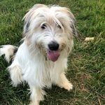 Sue Devlin - @suedev62 - Instagram