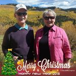 Sue Devlin - @devlinsue1 - Instagram