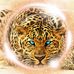 Sue Devlin - Facebook