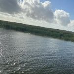 Sue Madhatter Devlin - @alyce.wonderland - Instagram
