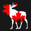 SueD 🇨🇦 - @suedevlin487 - TikTok