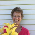 Sue De Vries - @sue.devries.10 - Instagram