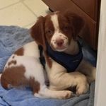Sue DeVries - @devries.sue - Instagram