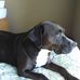 Sue Devries - Facebook