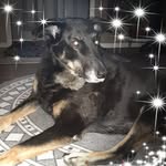 Sue Dicken - @dicken.sue - Instagram