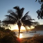 Sue Dickson - @suepermum_4 - Instagram