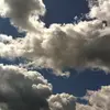 jodisuedierksheid - @jodisuedierksheid - TikTok