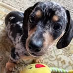 Sue Dierks - Facebook