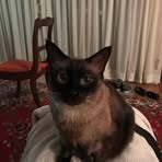 Susan Dierks - Facebook