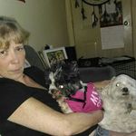 Beverley Sue Dillon - @beverleydillon04 - Instagram