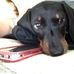 Sue Dillon - Facebook