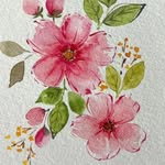 Sue Dillon - @suedillon714 - Instagram