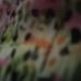 Susie Doty - Facebook