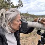 Sue Dougherty - @offleashphotography - Instagram
