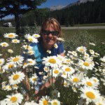 Sue Dougherty - @suedougherty16 - Instagram