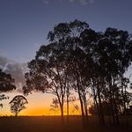 Sue Dougherty - @suedougherty4280 - Instagram
