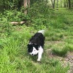 Sue Dougherty - @blueskybluesea62 - Instagram