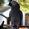 Sue Douglas - @sue.douglas3 - TikTok