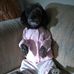 Sue Dover - Facebook