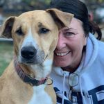 Sue Downey Gray - @suedowneygray - Instagram