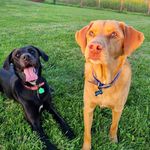 Nelope Sue and Drake Louis - @drake_and_penelope - Instagram