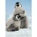 Sue Drake - Facebook