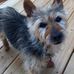 Sue Drake - Facebook