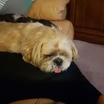 Sue Drake - @sue.drake.7140 - Instagram