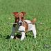 Susan Drawdy - Facebook