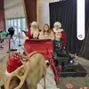Sue Dudley - @sue.dudley3 - TikTok