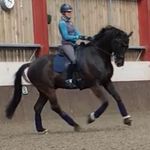 Sue Duncan - @duncsus - Instagram