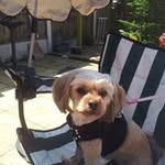 Sue Deakin - @sue.deakin.9 - Instagram