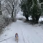 Sue Deakin - @suedeakin - Instagram