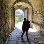 Sue Deakin - @suedeakin1 - Instagram