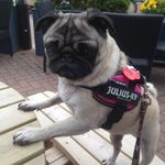 Sue Eddy - @sueeddy63 - Instagram